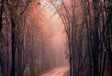 阿森纳迎欧联关键赛，转会期再遭质疑，引发热议，赛程密集仍需轮换的简单介绍